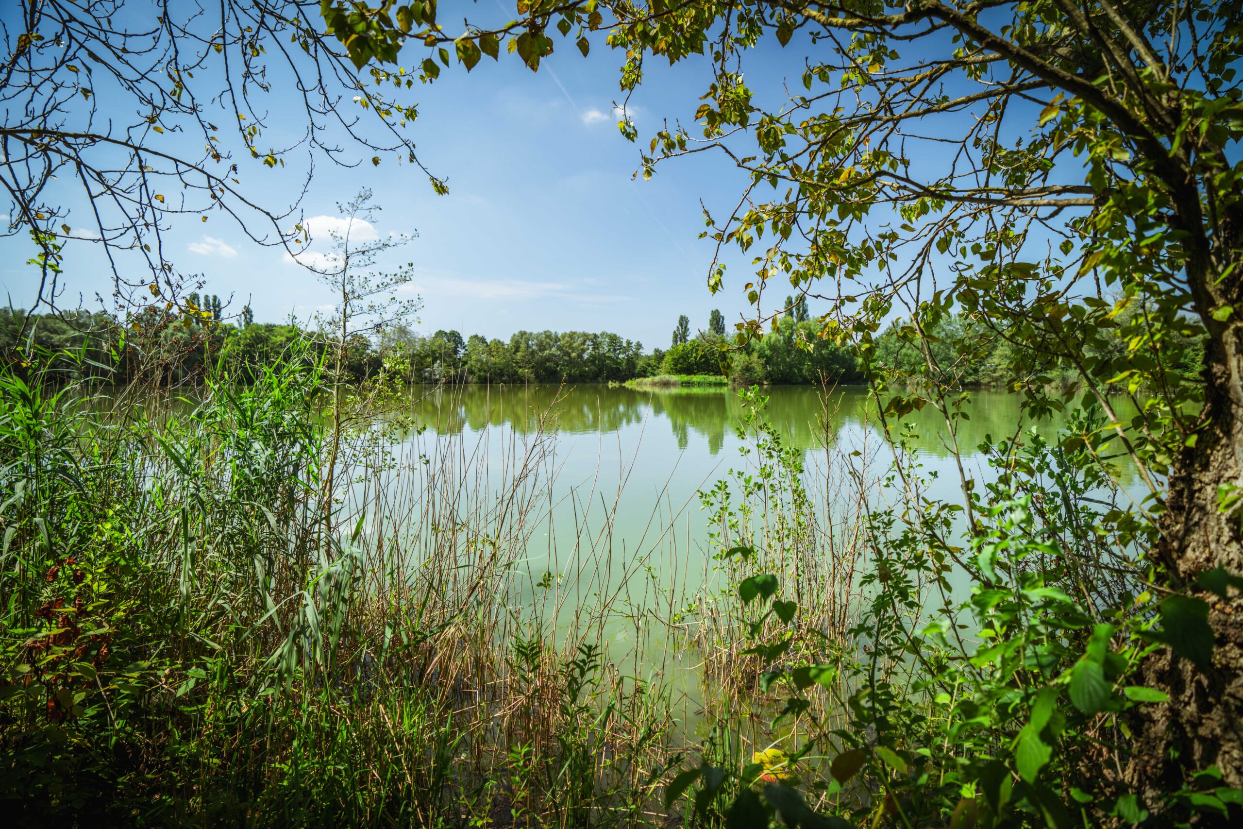 Angelweiher_A7_04269