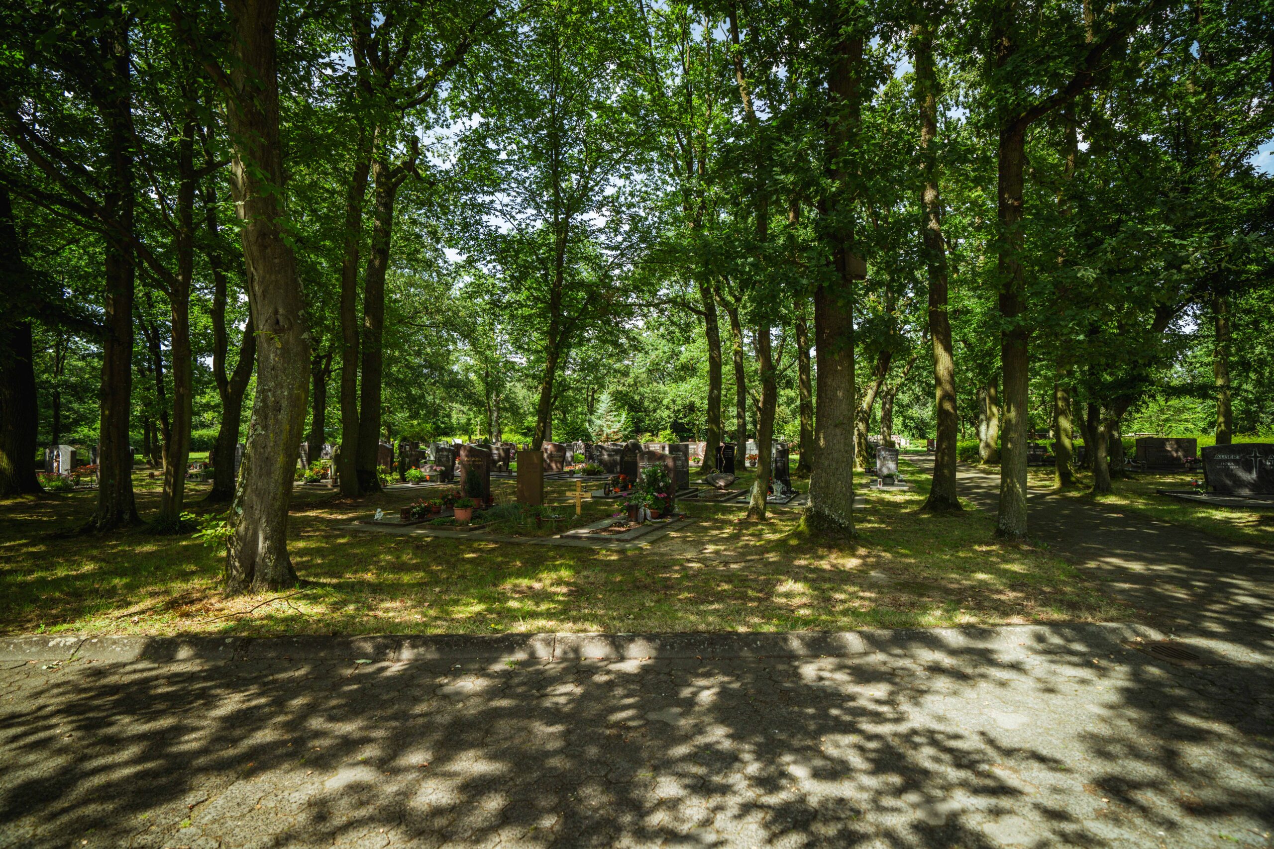 Neuer Friedhof Obertshausen_A7_03569