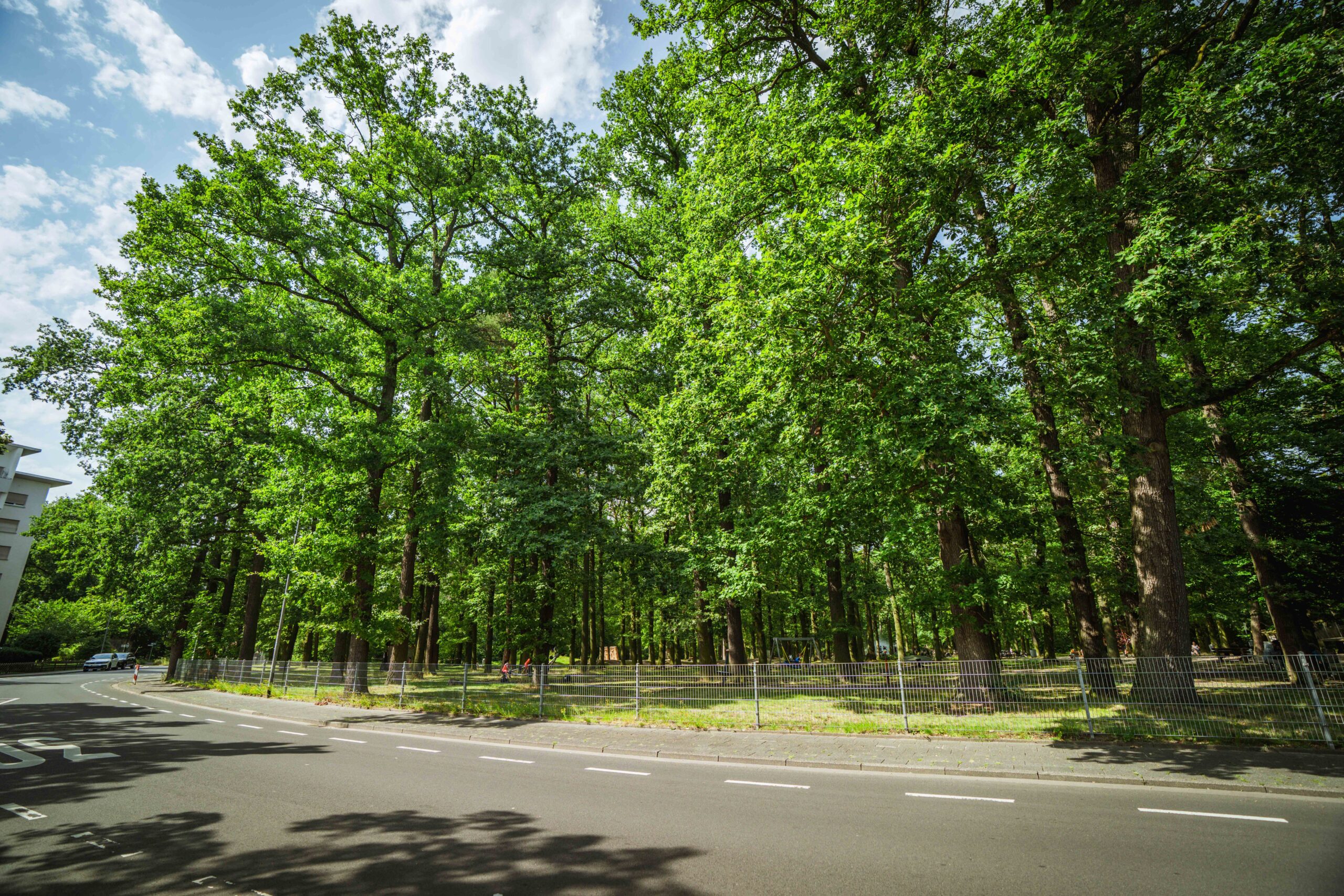 Waldpark Hausen_Sainte Geneviève des Bois_A7_03589