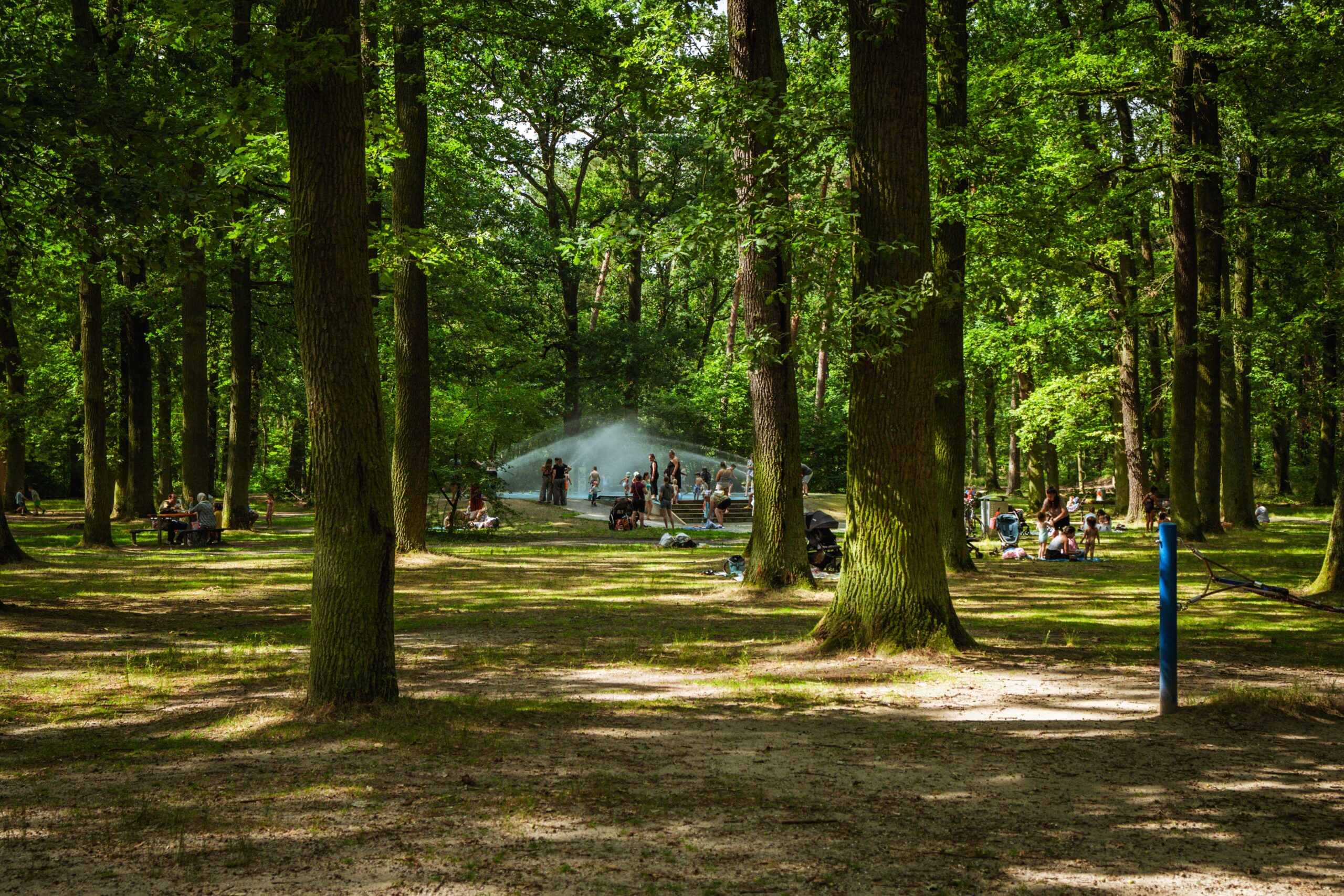 Waldpark Hausen_Sainte Geneviève des Bois_A7_03606